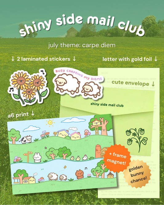 shiny side mail club | monthly snail mail club