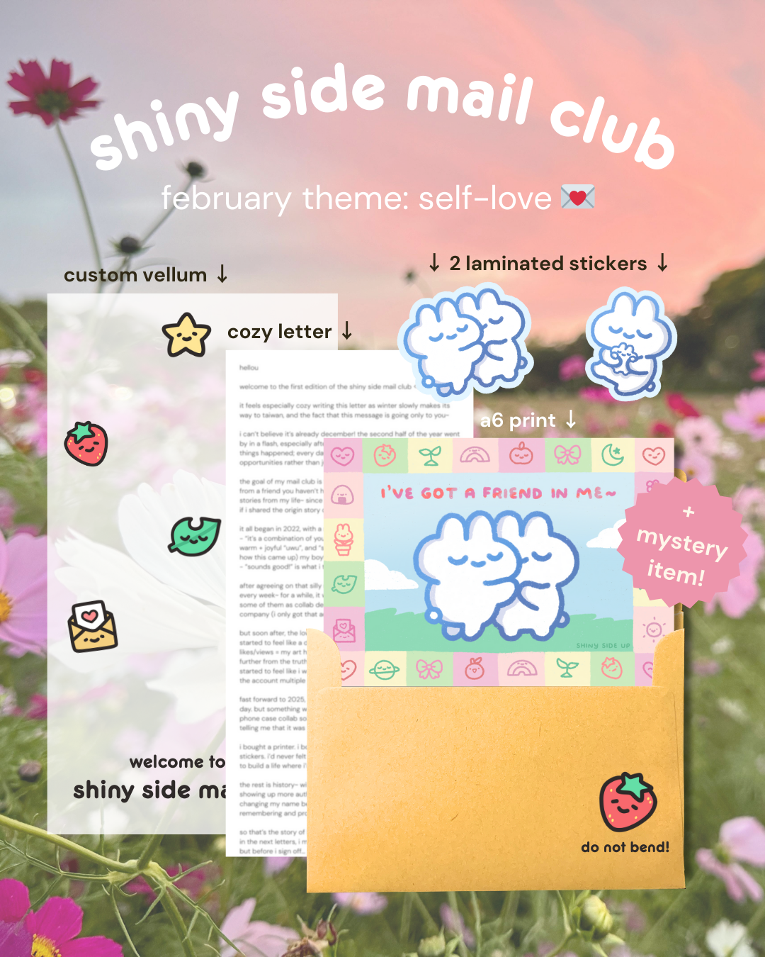 shiny side mail club