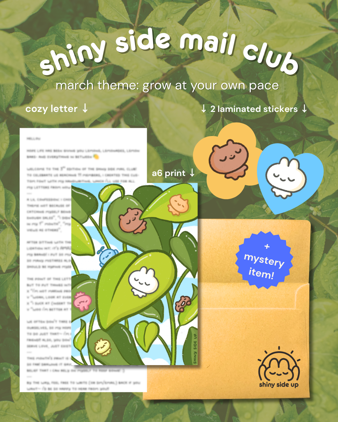 shiny side mail club | monthly snail mail club
