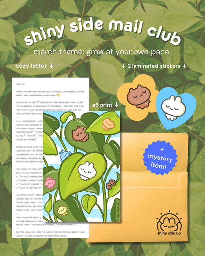 shiny side mail club | monthly snail mail club